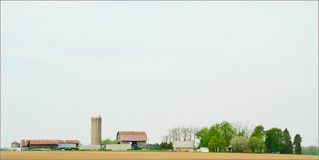 Farmyard, Roxand Township