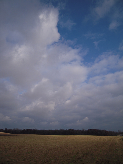 fields and sky
