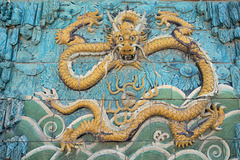 Forbidden City - dragon