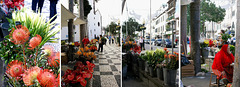 Funchal. Blumenfrau in der Altstadt. ©UdoSm