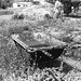 Deserted wheelbarrow