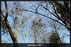Rookery Hill - Bishopstone - East Sussex - 11.4.2014
