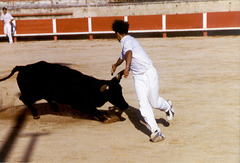 The day before the bullfight - 2