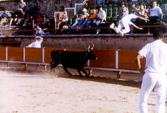 The day before the bullfight - 4