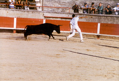 The day before the bullfight - 3