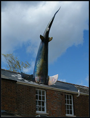shark attack on Oxford house
