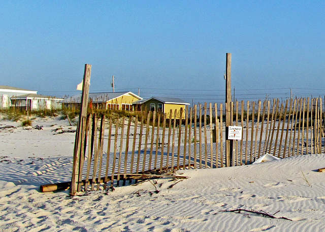 Sand Fence