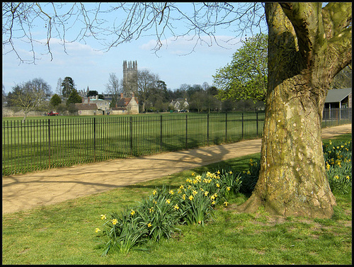 April in Christ Church Meadow