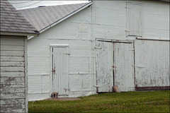 Barn Doors at Debbie's