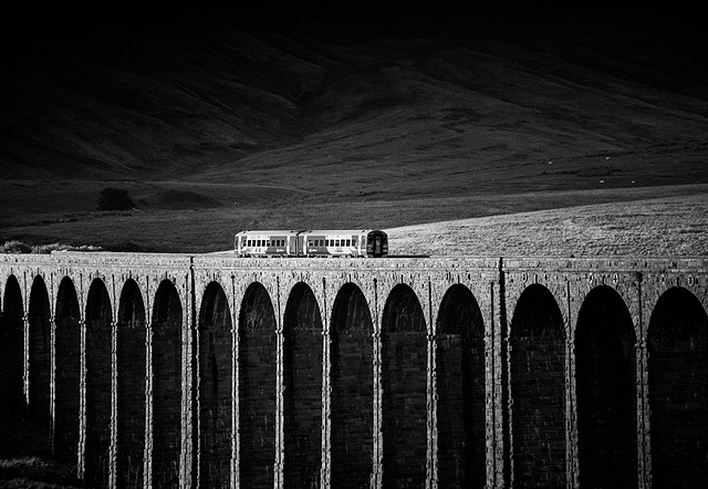 Evening Local, Ribblehead, North Yorkshire, England.
