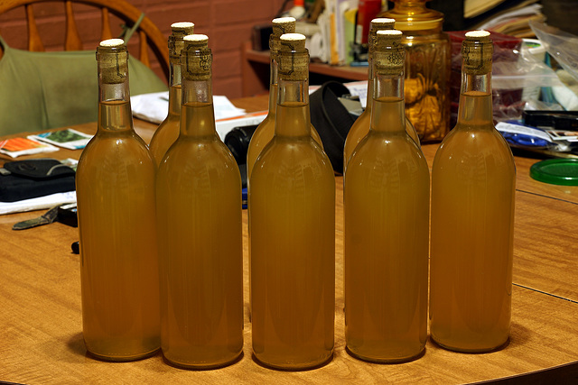 Dandelion Wine, Mk. I