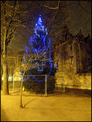 electric blue Christmas