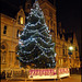 Oxford Council Christmas Tree