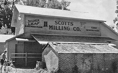 Scotts Milling Co