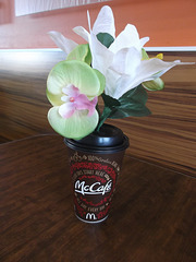 Fleurs et café / Flowers & coffee.