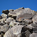 Samuelson's Rocks (5869)