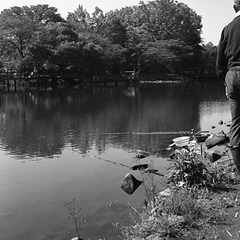 Fishing at a pond