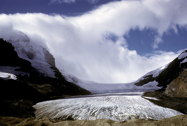 columbia ice field