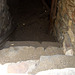 Samuelson's Cellar (5844)