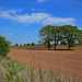 Fields near Haughton