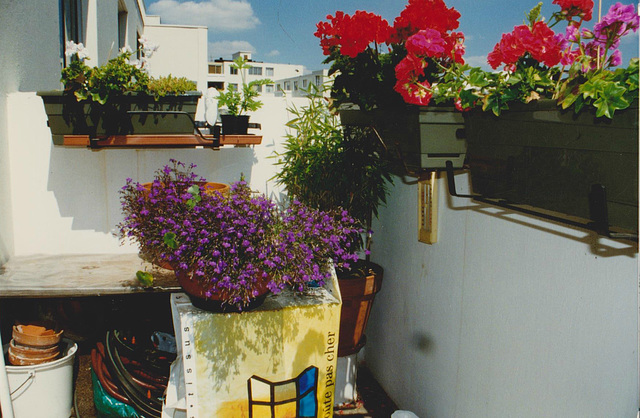 mon petit balcon - La Madeleine - Nord