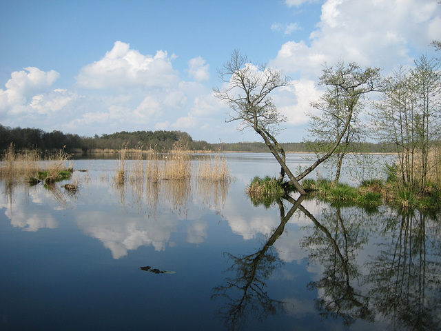 Kleiner Wünsdorfer See