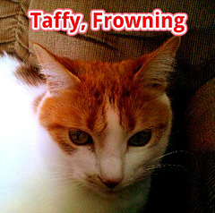Taffy, Frowning