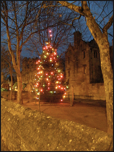 St Giles Christmas Tree