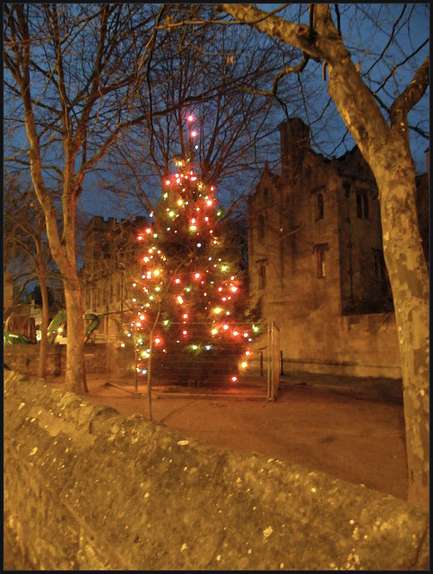 Christmas Tree in St Giles
