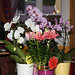 orchidées et lys
