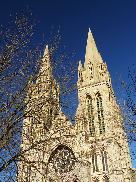 Truro Cathedral (2) - 14 April 2014