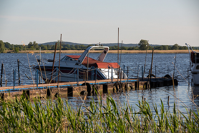 20140503 2176VRTw [D~HVL] Boot, Hohennauener See, Semlin