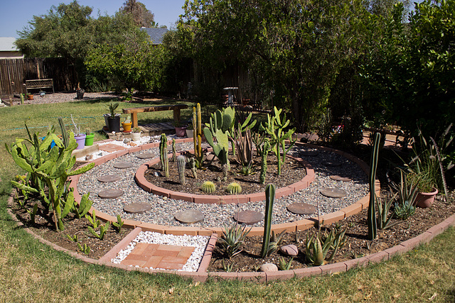 Cactus garden progress 5/5/14