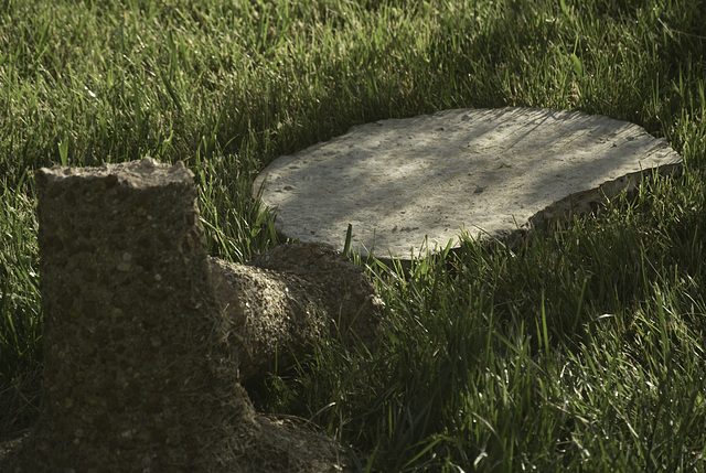 Bird Feeder in Ruins