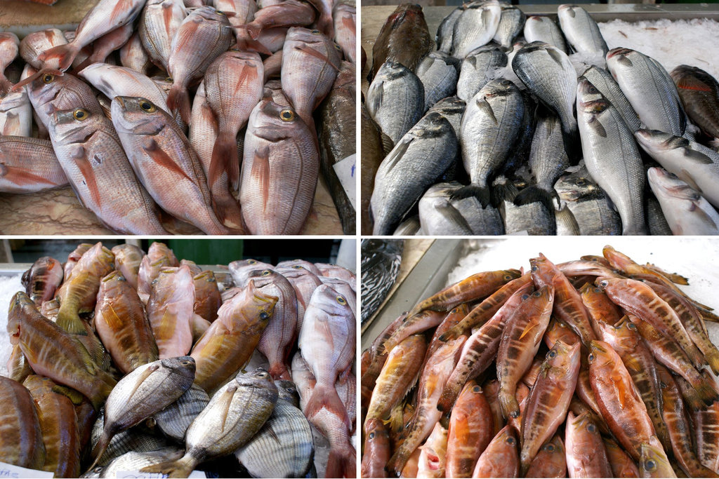 Funchal. Mercado dos Lavradores.  Fische fangfrisch... ©UdoSm