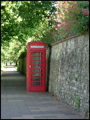 phone box in summer