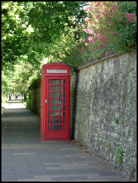 phone box in summer