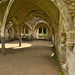 Waverley Abbey ruins - Lay Brothers Refectory Undercroft