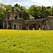 Ruins of Waverley Abbey - Lay Brothers Refectory