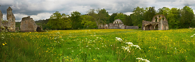 Waverley Abbey ruins 2014