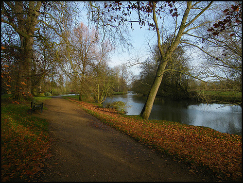 November by the Cherwell