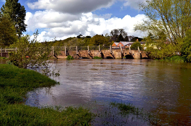 Tilford 13th Century Medieval Packhorse Bridge with River Wey in flood - April 2014