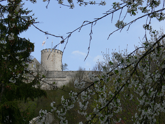 Burglengenfeld - Die Burg