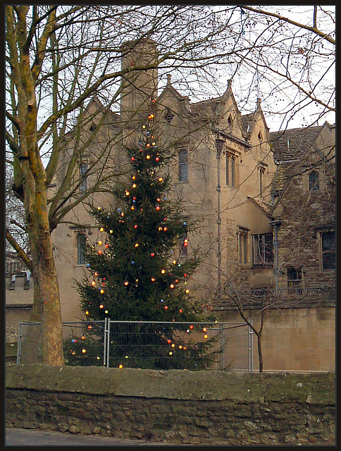St John's Christmas Tree