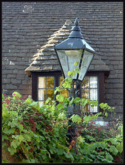 lamp by a window