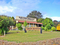 Timber Museum at Putaruru