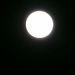 The moon last night