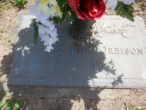 ipernity: Anthony King Orbison's grave by John Twang