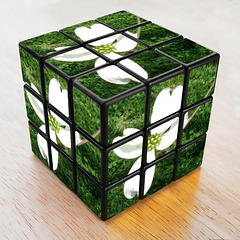 cube ..