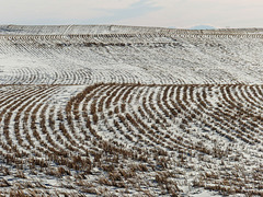 Patterns in the fields